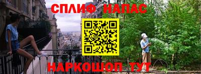 сатива Дубна