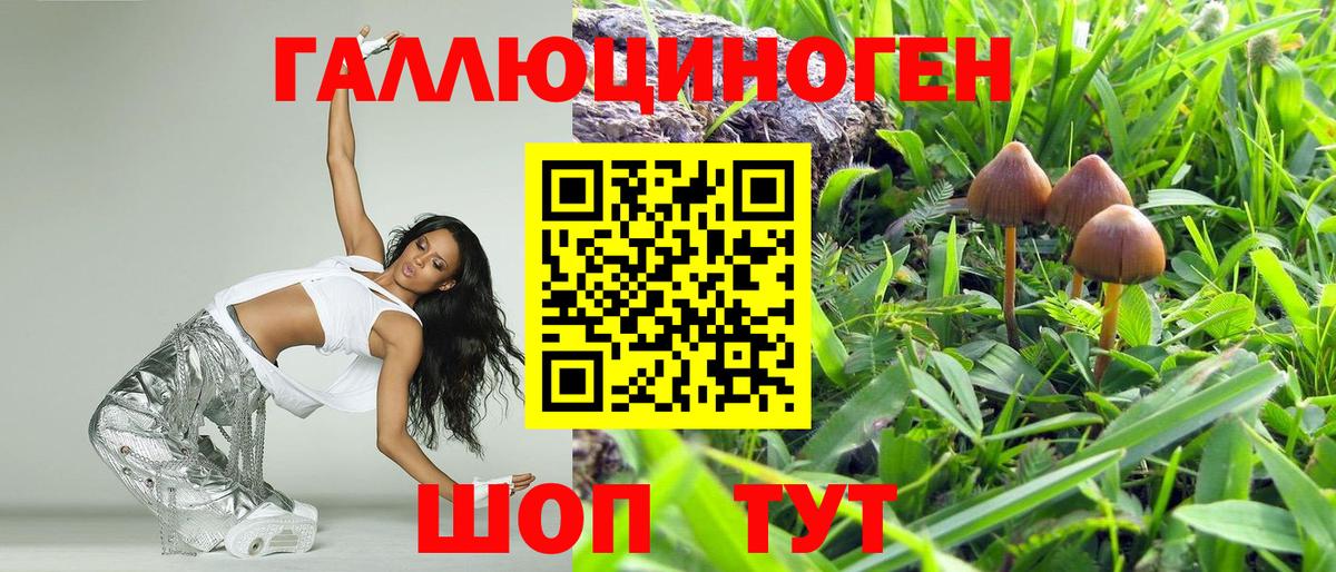 Галлюциногенные грибы Psilocybe Коряжма